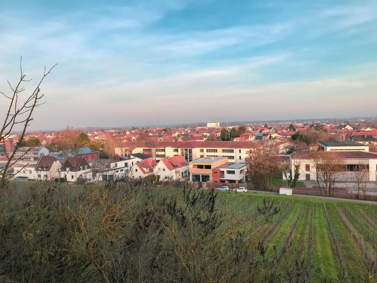 Das Haus Am Bach - Schoene Grosse Moderne Wohnung Mit Terrasse Osthofen Eksteriør billede