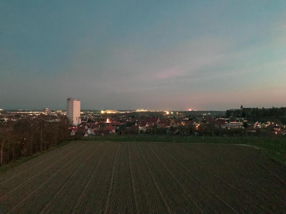 Das Haus Am Bach - Schoene Grosse Moderne Wohnung Mit Terrasse Osthofen Eksteriør billede